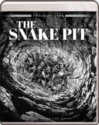 The Snake Pit: การต่อสู้ของผู้หญิงกับความบ้าคลั่งและการฟื้นตัวอย่างโดดเด่น!