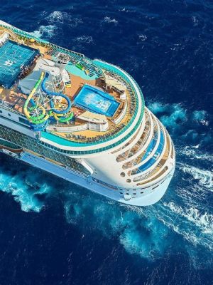  The Freedom of the Seas -  A Silent Voyage Through Love and Loss on the High Seas!